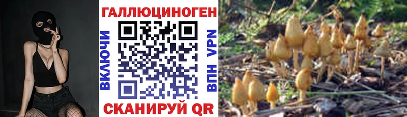 mega зеркало  купить   Собинка  Псилоцибиновые грибы мицелий 